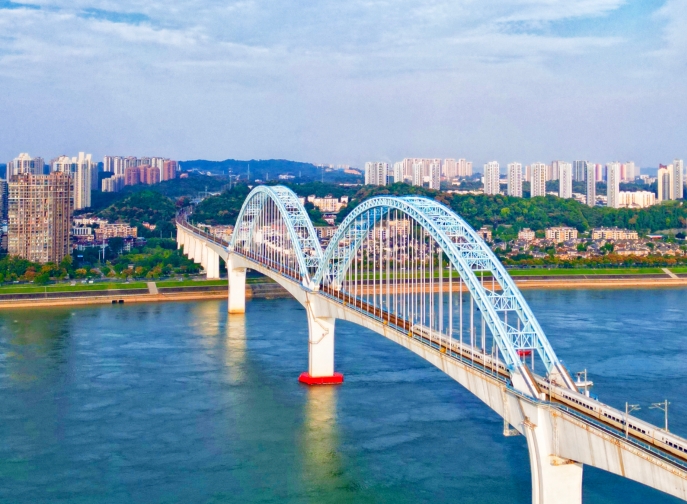 向光而行，花開滿途